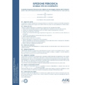 Schema Contratto Ispezione Periodica